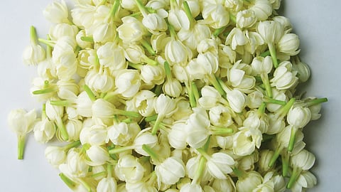 மதுரை சந்தையில் மல்லிகைப்பூ பலமடங்கு விலை உயர்வு!