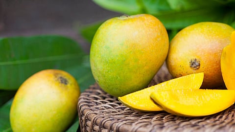 ‘Mankurad’ mangoes selling for Rs 5,000 a dozen in Goa