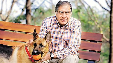 ரத்தன் டாடாவின் செல்லபிராணிகளுக்கான மருத்துவமனை - நெகிழ்ச்சி பின்னணி!