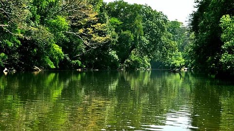 கோவை பக்கத்தில் வெறும் 600 ரூபாய்க்கு பட்ஜெட் சுற்றுலா செல்ல ரெடியா?