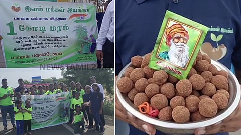 விதை பந்துகள்