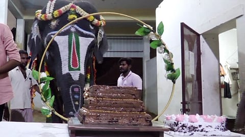 elephant