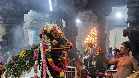 sankarankovil