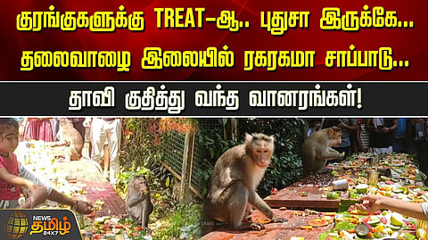 குரங்குகளுக்கு விருந்து
