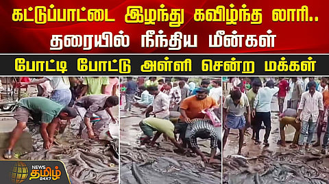 லாரி விபத்து