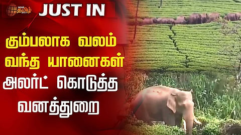 வால்பாறை, கோவை