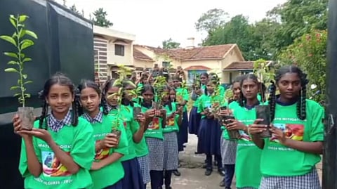 கோத்தகிரி, நீலகிரி
