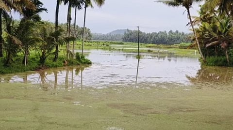 குளச்சல், கன்னியாகுமரி