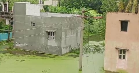கனமழை காரணமாக குடியிருப்பு பகுதியில் மழைநீர் சூழ்ந்தது.. கழிவு நீருடன் கலந்து தேங்கியதால் பாசி படர்ந்து காட்சி அளிப்பு