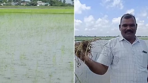 சேலியம்பேடு, திருவள்ளூர்