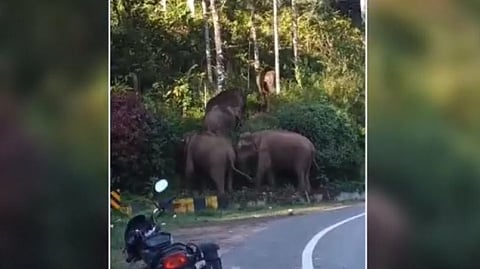 போடி மெட்டு, தேனி