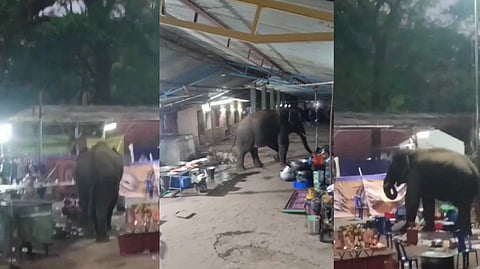 கோவை