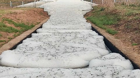 Ksg water pollution