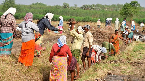 தமிழ்நாட்டுக்கான நிதி விடுவிப்பு