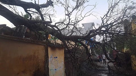 திருவள்ளூர்