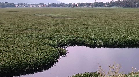 மக்கள் கோரிக்கை
