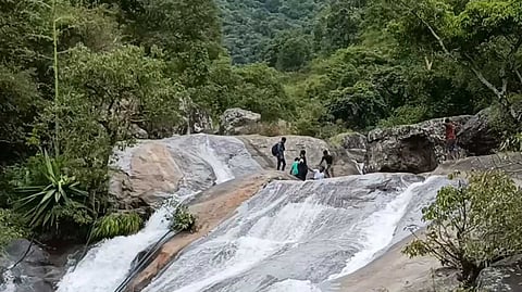 DGL Pepper falls