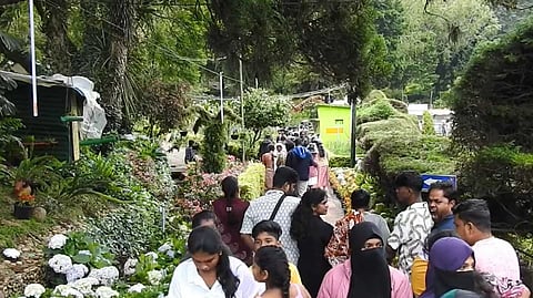 Kodaikanal tourist crowd