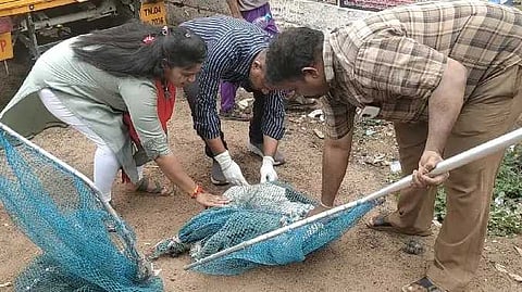 chennai