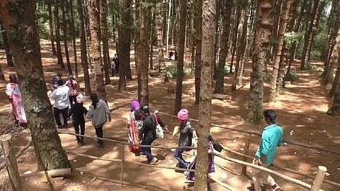 Nlg tourist spot opened