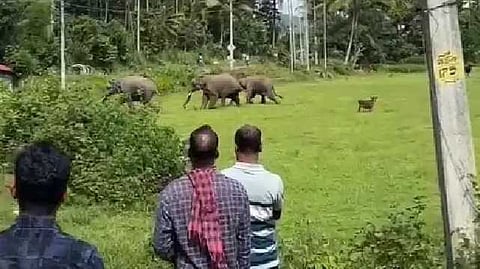 Kerala