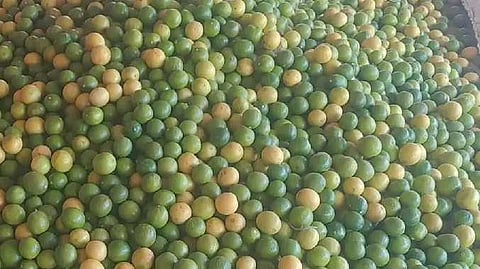 TKI lemon price issue