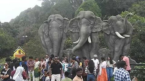 Kodaikanal