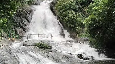 Aliyar Kaviyaruvaru