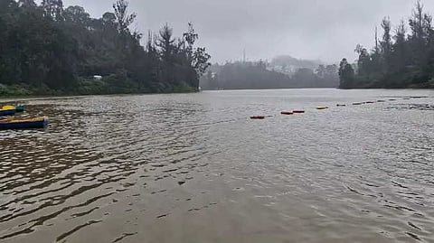NLG Rain