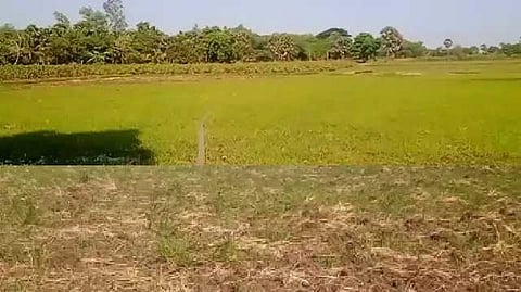 Thiruvarur