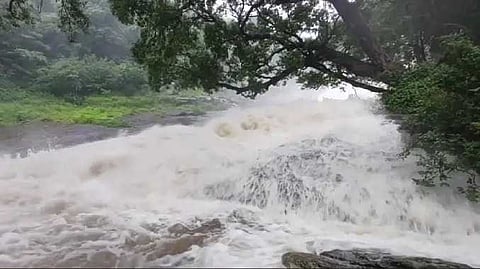 THENI falls closed