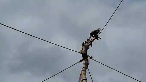 DGL Tree climbing