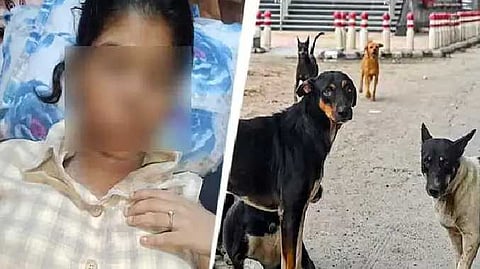 UP Dog issue