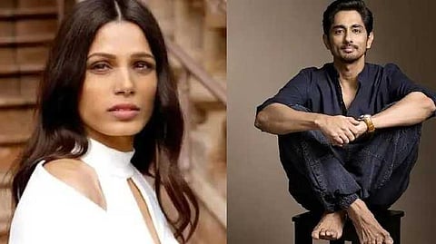 Netflix series siddarth