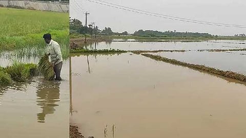 rain issue