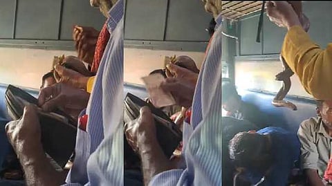 snake in train