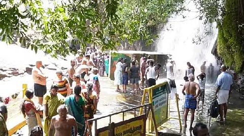 Agasthiyar Falls