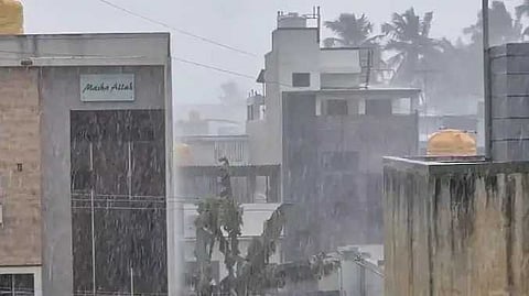 TPT Rain