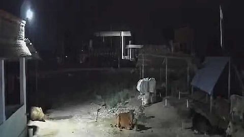 Mathur accident
