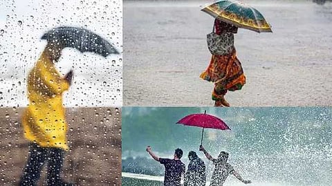 rain