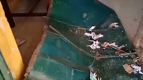 VLP Elephant damaged