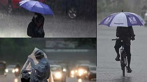 rain