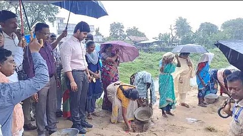 கொட்டும் மழையிலும் பனை விதை விதைப்பு, ஆட்சியர் பங்கேற்பு