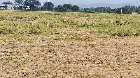 damage