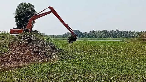 ஆகாய தாமரைகள் அகற்றும் பணி தீவிரம்