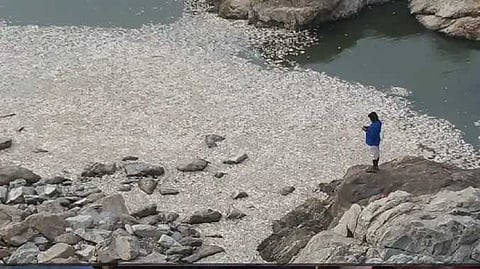 SLM Metur dam