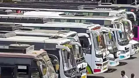 omni bus