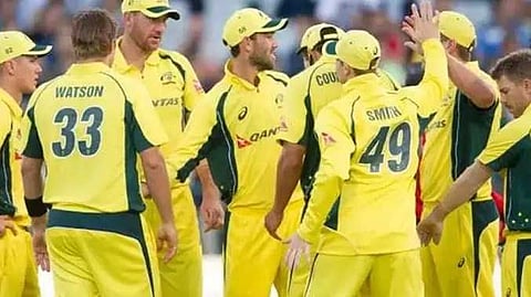 Shane watson