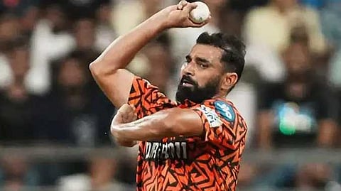 Shami