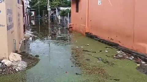 TNL Rain